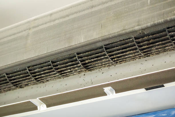 Best Ventilation Cleaning Services  in Sugarcreek, OH